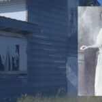 Cecile Steele chicken industry
