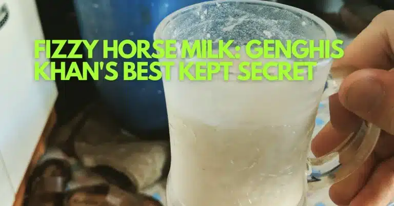 Kumis: Fizzy Horse Milk That Fuelled Genghis Khan
