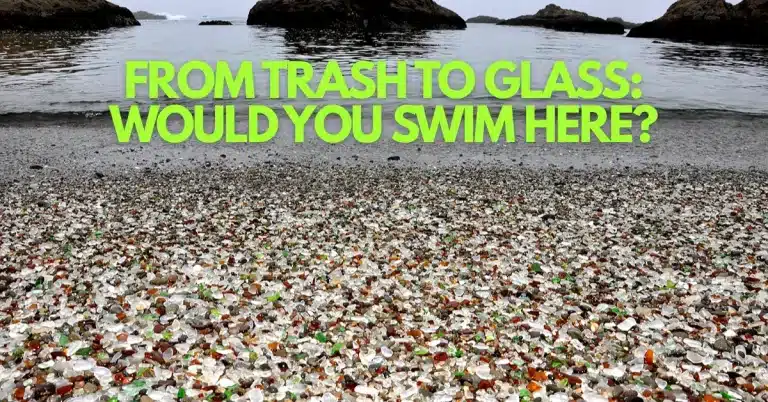 Glass Beach’s Shimmering Secret: How a Garbage Dump Became a Tourist Magnet