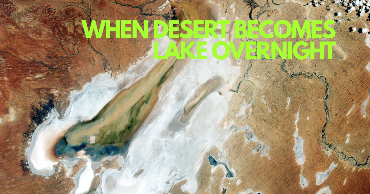 Australia’s Miracle Lake: Salt Desert Becomes Ocean Overnight