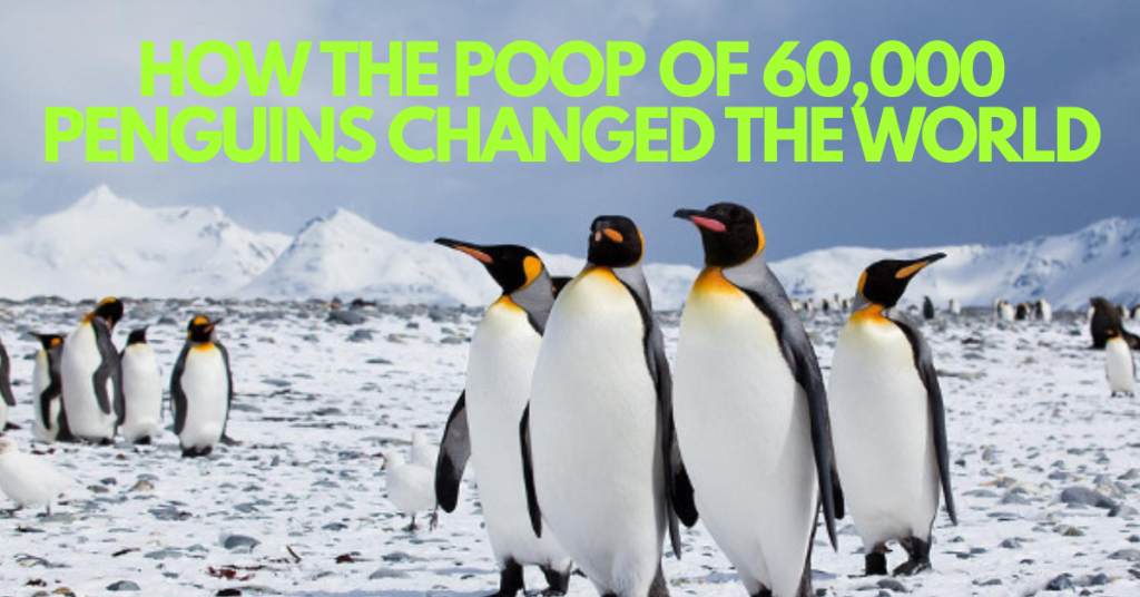 Climate Heroes or Villains? The Penguin Poop Puzzle