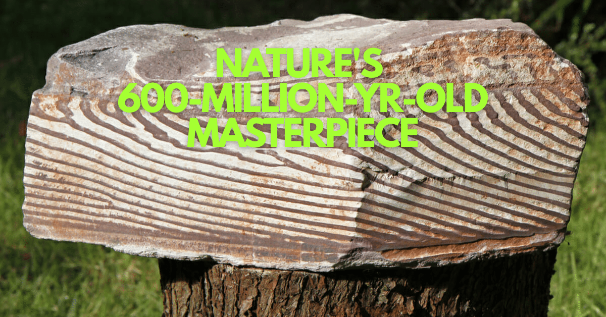 Earth’s Oldest Artwork: The Strange Zebra Rock of Australia