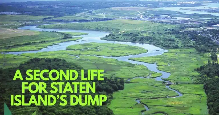 From Trash to Trails: The Long Transformation of Staten Island’s Fresh Kills