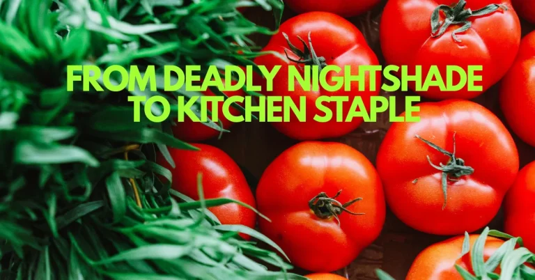 The Fruit That Scared Europe for Two Centuries