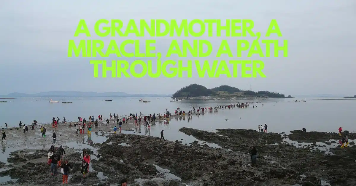 The Grandmother Who Split the Sea: The Legend of Jindo