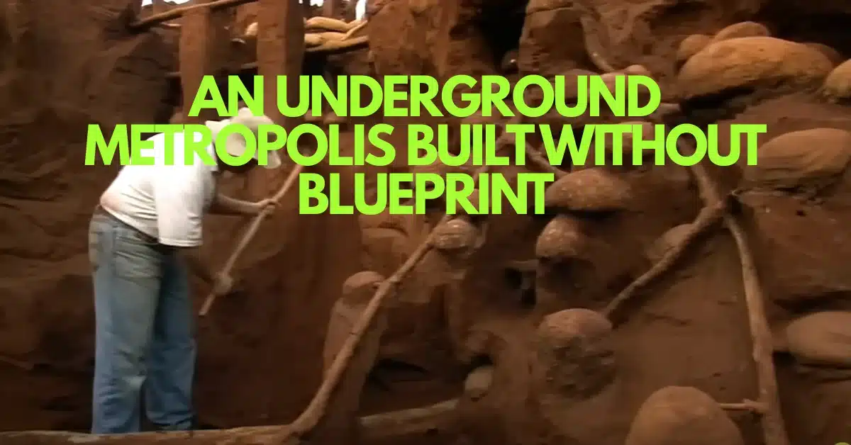 Engineers of the Underground: The Mega-City Hidden Beneath an Abandoned Ant Hill