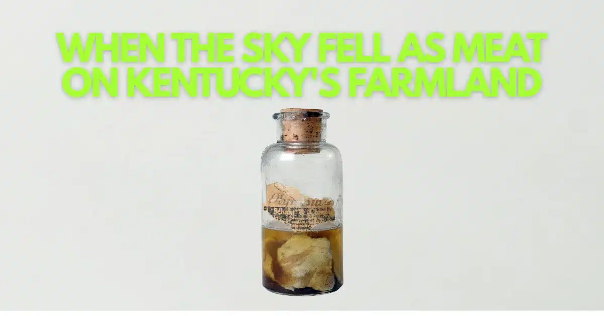 The Day Flesh Rained Down on Kentucky: An Unsolved Mystery from 1876