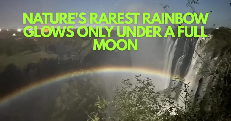 The Moonbow of Victoria Falls: Witnessing Nature's Rarest Night Phenomenon