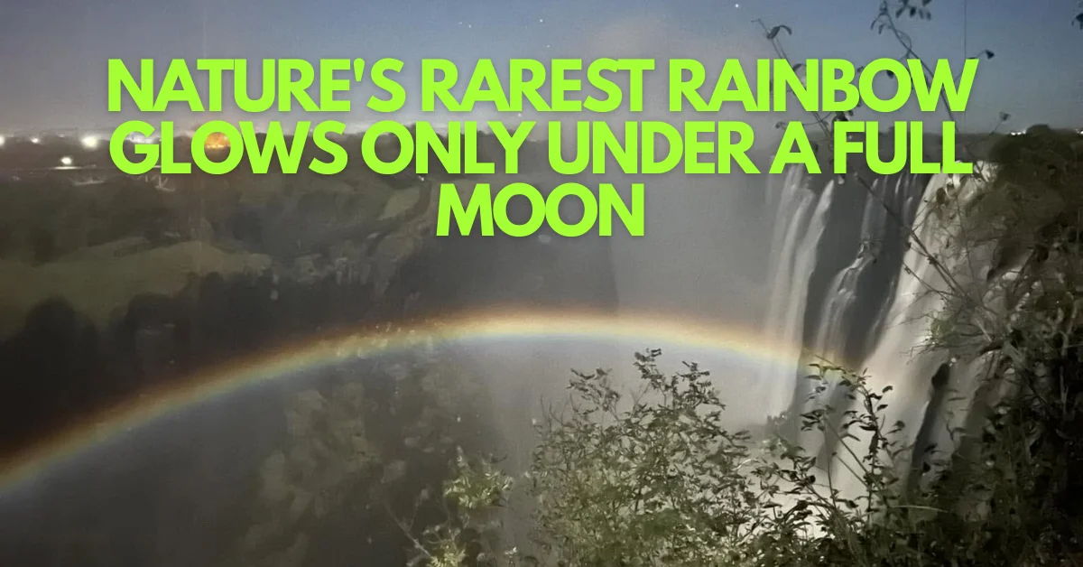 The Moonbow of Victoria Falls: Witnessing Nature's Rarest Night Phenomenon
