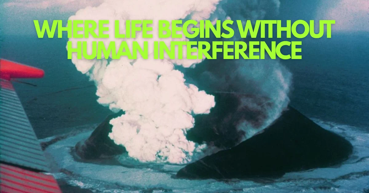 The Volcanic Island That Rewrote Everything We Knew About Life