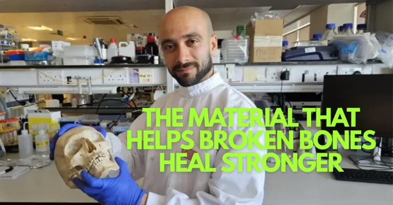 When Agricultural Waste Becomes Medicine: The Wool Discovery Redefining Bone Repair