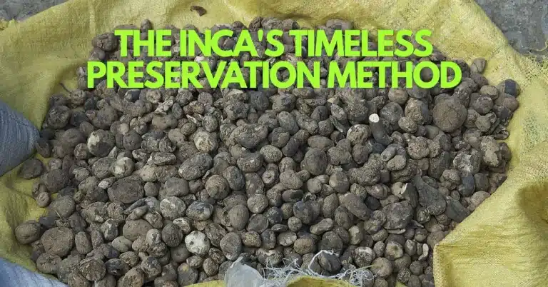 A Taste of Empire: How the Inca Preserved Potatoes for Five Centuries