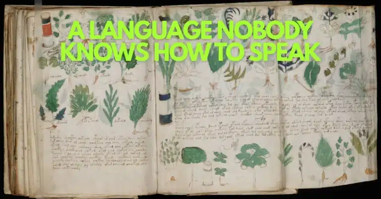 Six Centuries Unread: The Mysterious Manuscript Yale Cannot Solve
