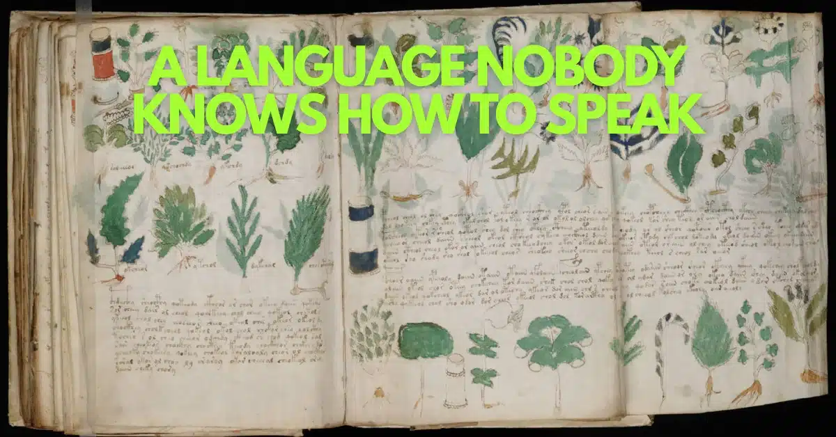 Six Centuries Unread: The Mysterious Manuscript Yale Cannot Solve